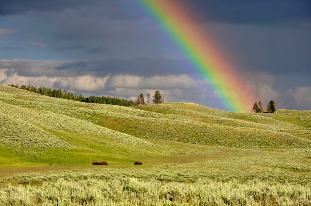 Wat voor verhaal verzin je bij deze foto? Een regenboog steekt scherp af tegen een lucht vol wolken en landt in een groen weiland. Doe mee aan de schrijfwedstrijd maart 2022 van schrijfcoach Kelly Meulenberg!